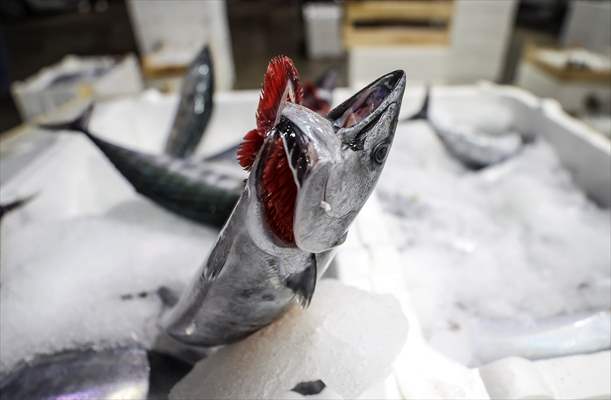 Fish market in Ankara after the beginning of fishing season