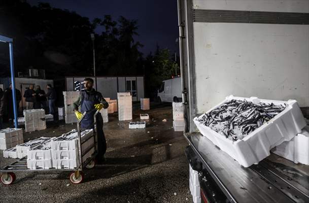 Fish market in Ankara after the beginning of fishing season