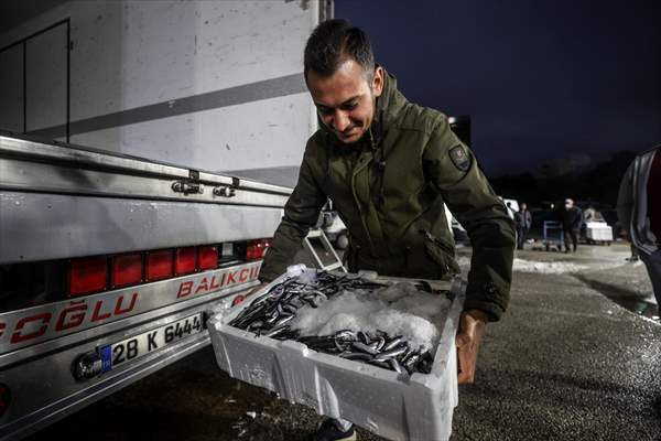 Fish market in Ankara after the beginning of fishing season