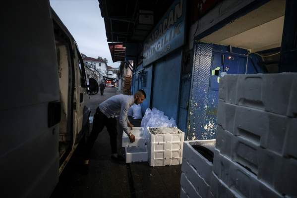 Fish market in Ankara after the beginning of fishing season