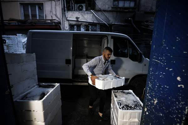 Fish market in Ankara after the beginning of fishing season