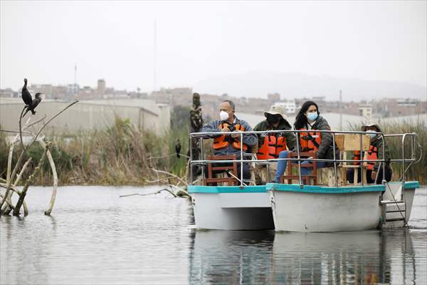 Wildlife Refuge Pantanos de Villa in Lima