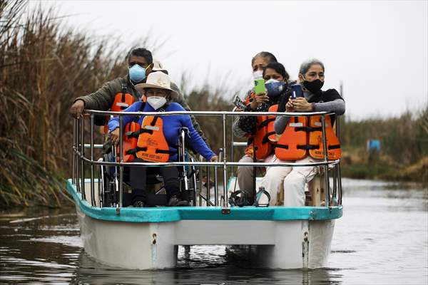 Wildlife Refuge Pantanos de Villa in Lima