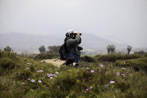 Wildlife Refuge Pantanos de Villa in Lima