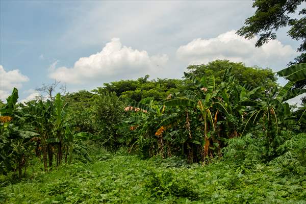 Indigenous Wayuu and water in the context of mining in La Guajira