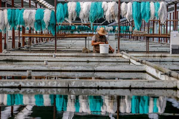 Goldfish farm in Antalya