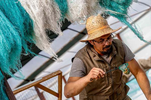 Goldfish farm in Antalya