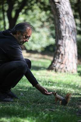 Squirrels in Istanbul's Emirgan Park
