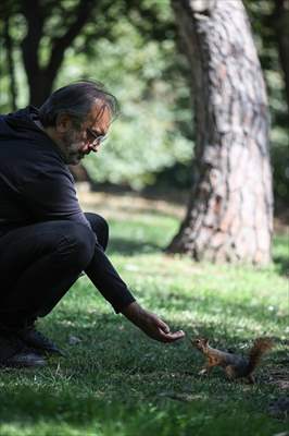 Squirrels in Istanbul's Emirgan Park