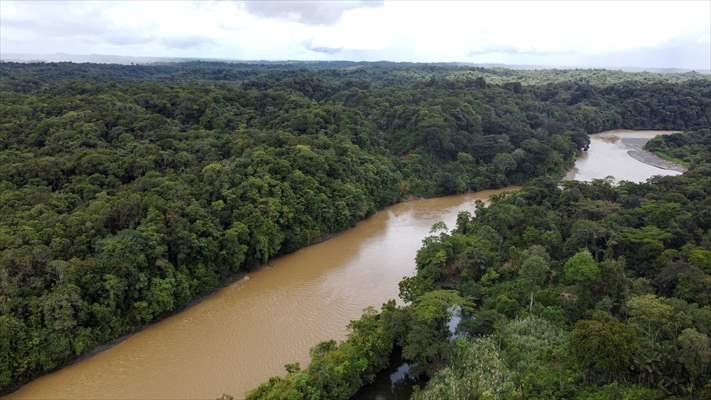 Colombia: Embera Dobida indigenous daily life at the jungle in Choco department