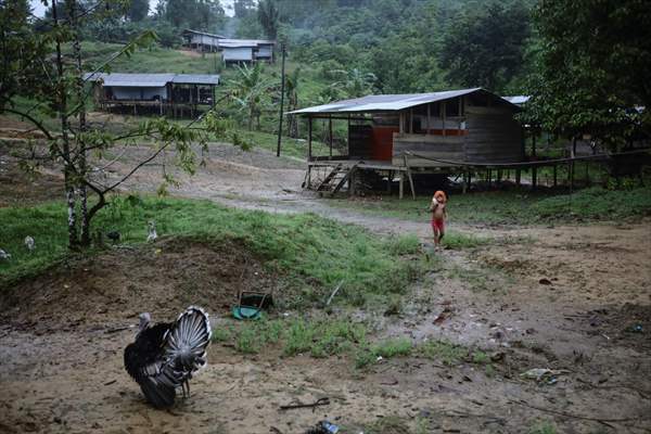 Colombia: Embera Dobida indigenous daily life at the jungle in Choco department