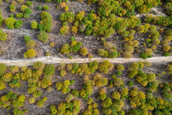 Tekirdağ'daki Kazak Gölü ve İkiz Göller sonbahar renklerine büründü