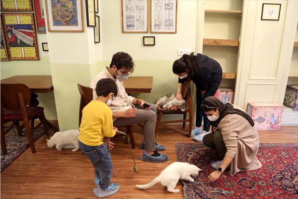 The extraordinary "Cat Museum" in Tehran