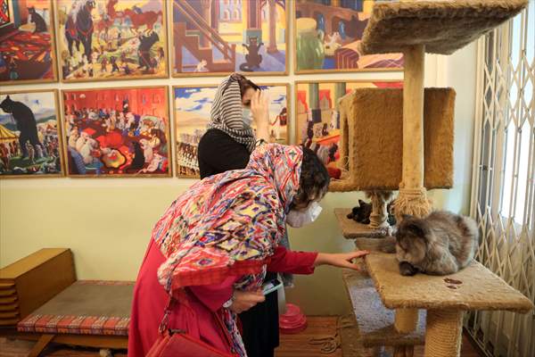 The extraordinary "Cat Museum" in Tehran