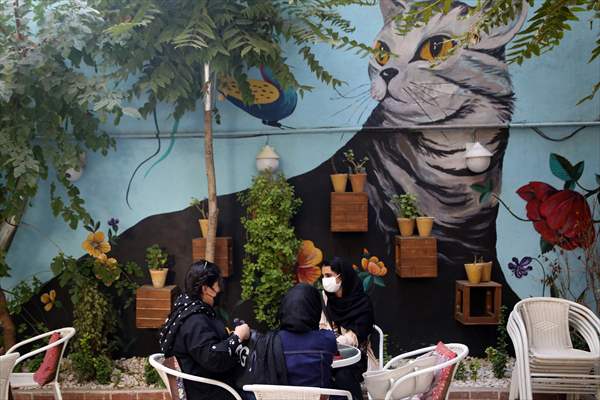 The extraordinary "Cat Museum" in Tehran