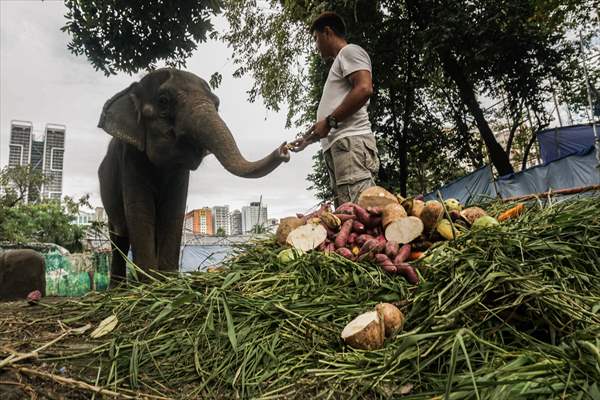 Zoo in Manila, Philippines