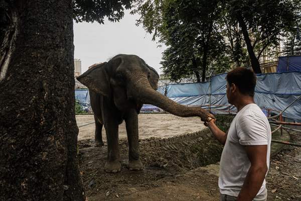 Zoo in Manila, Philippines