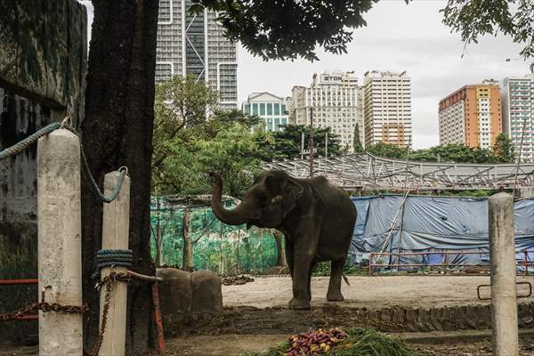 Zoo in Manila, Philippines