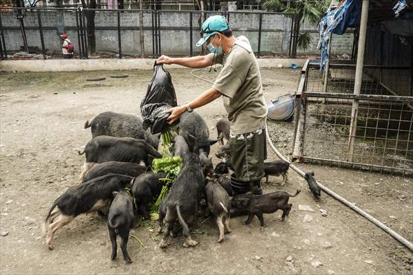 Zoo in Manila, Philippines