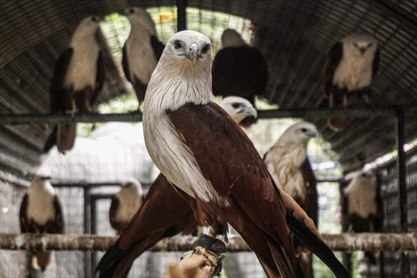 Zoo in Manila, Philippines