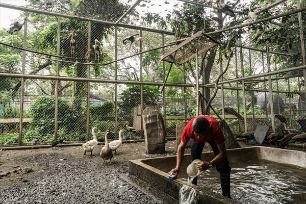 Zoo in Manila, Philippines