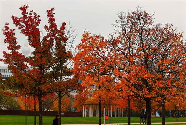 Autumn in Berlin