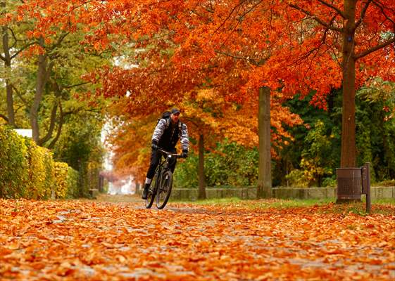 Autumn in Berlin