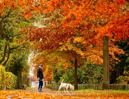 Autumn in Berlin