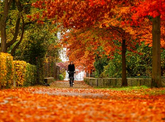 Autumn in Berlin