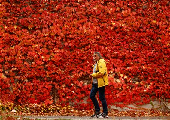 Autumn in Berlin