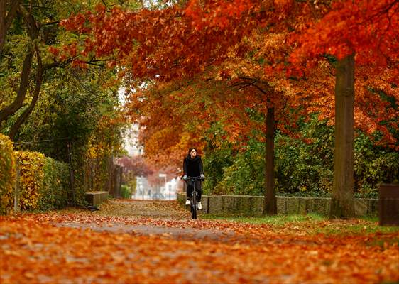 Autumn in Berlin