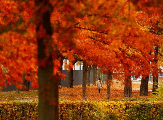 Autumn in Berlin