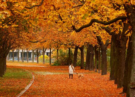 Autumn in Berlin