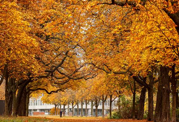 Autumn in Berlin
