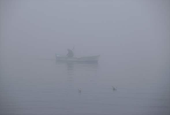 Heavy fog in Istanbul