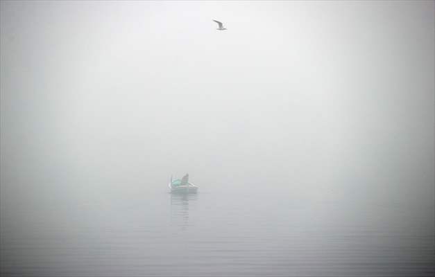 Heavy fog in Istanbul