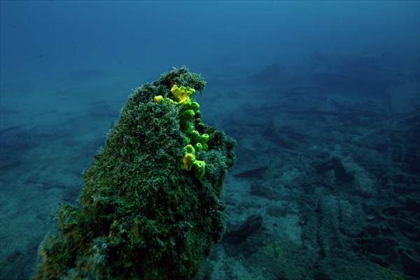 The shipwreck of H.M.S. Majestic in Gallipoli Historical Underwater Park