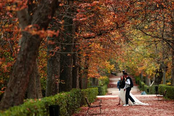 Autumn in Madrid