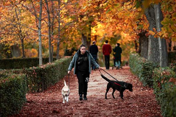 Autumn in Madrid
