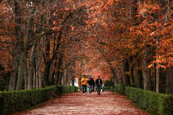 Autumn in Madrid