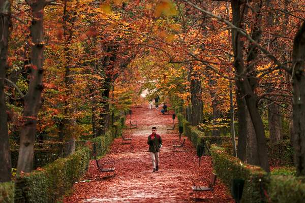 Autumn in Madrid