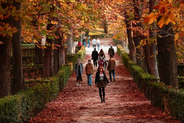 Autumn in Madrid