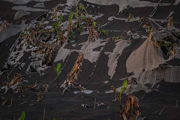 Cumbre Vieja volcano erupts in Spanish Canary Island of La Palma