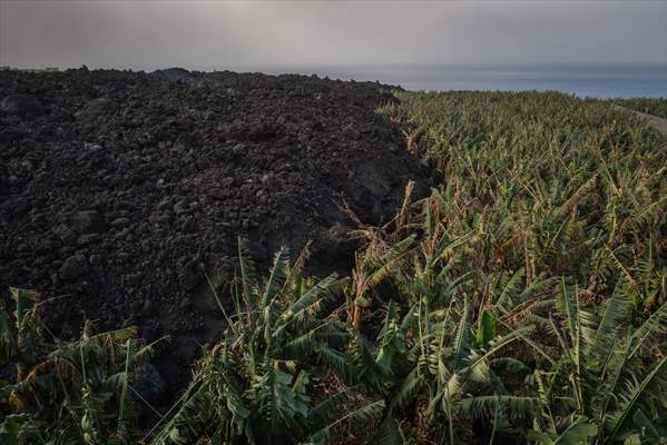 Cumbre Vieja volcano erupts in Spanish Canary Island of La Palma