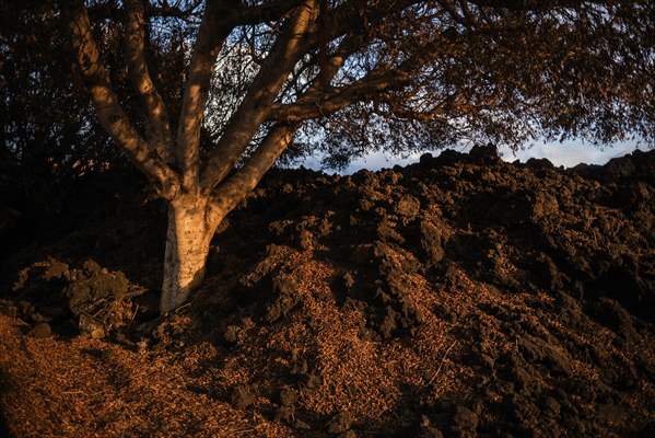 Cumbre Vieja volcano erupts in Spanish Canary Island of La Palma