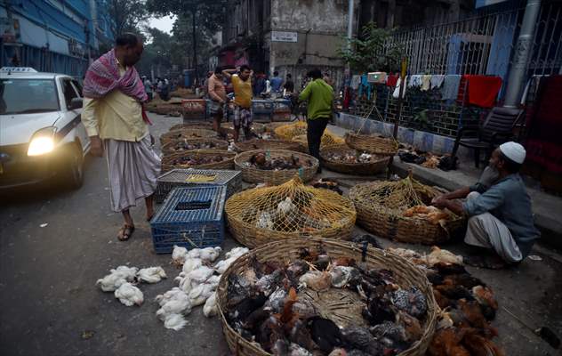 Chicken wholesale market in India