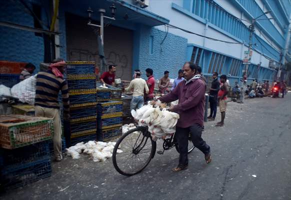 Chicken wholesale market in India