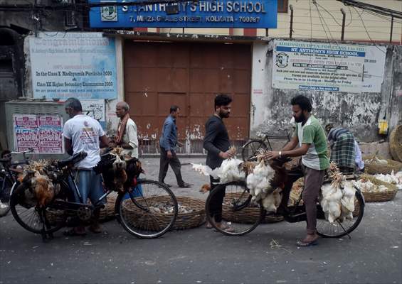 Chicken wholesale market in India