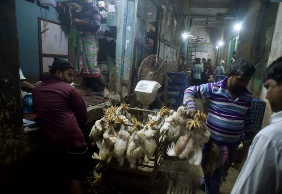 Chicken wholesale market in India
