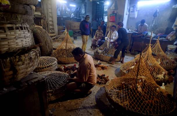 Chicken wholesale market in India